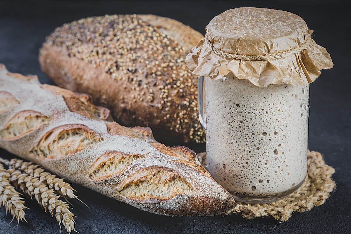 Sourdough in glass jar next to loafs of bread