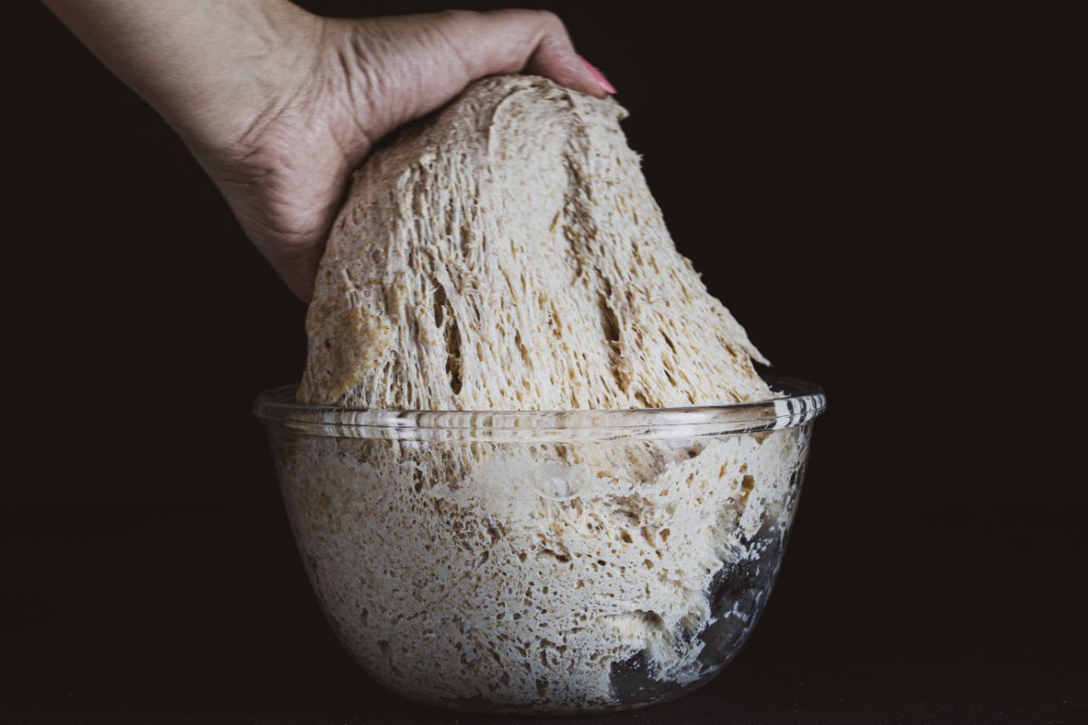 Sourdough in glass bowl held by hand