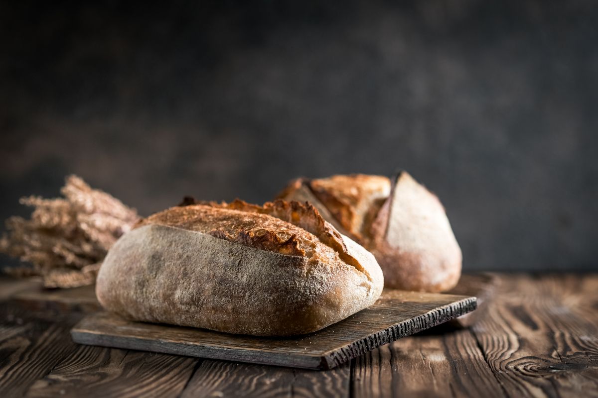 Loaf of sourdough bread on wooden pad. Loaf of bread and wheat in the background