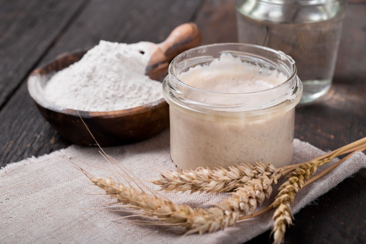 Sourdough starter in glass jar on cloth wipe next to bowl fo flour, wheat and glass of water on wooden table