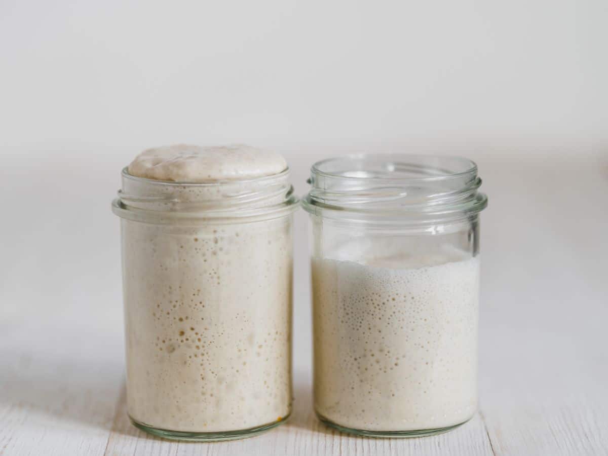 Two glass jars of sourdough starter on white table