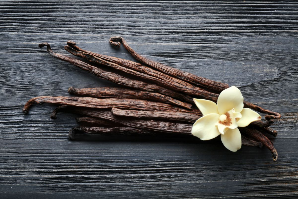 Vanilla sticks and flower on black table