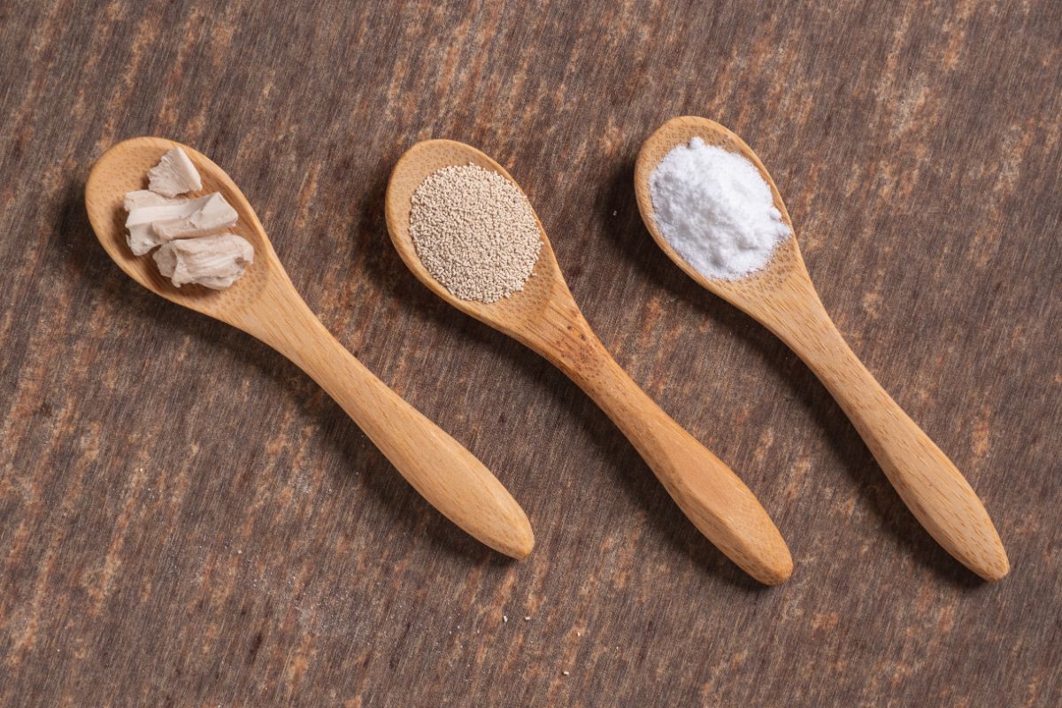 Block, dry and instant yeast on wooden spoons