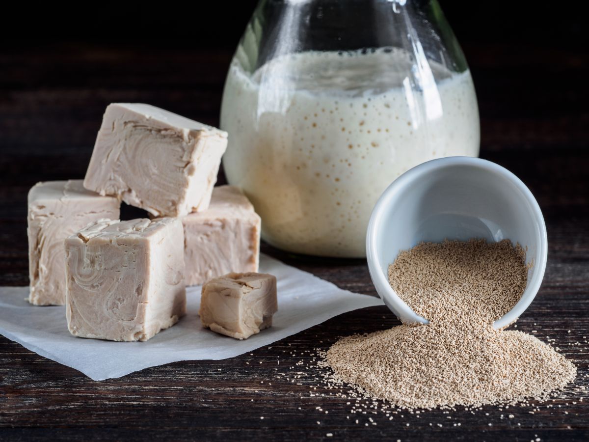 Yeast in glass jar, dry yeast in white bowl and block yeast on paper sheet