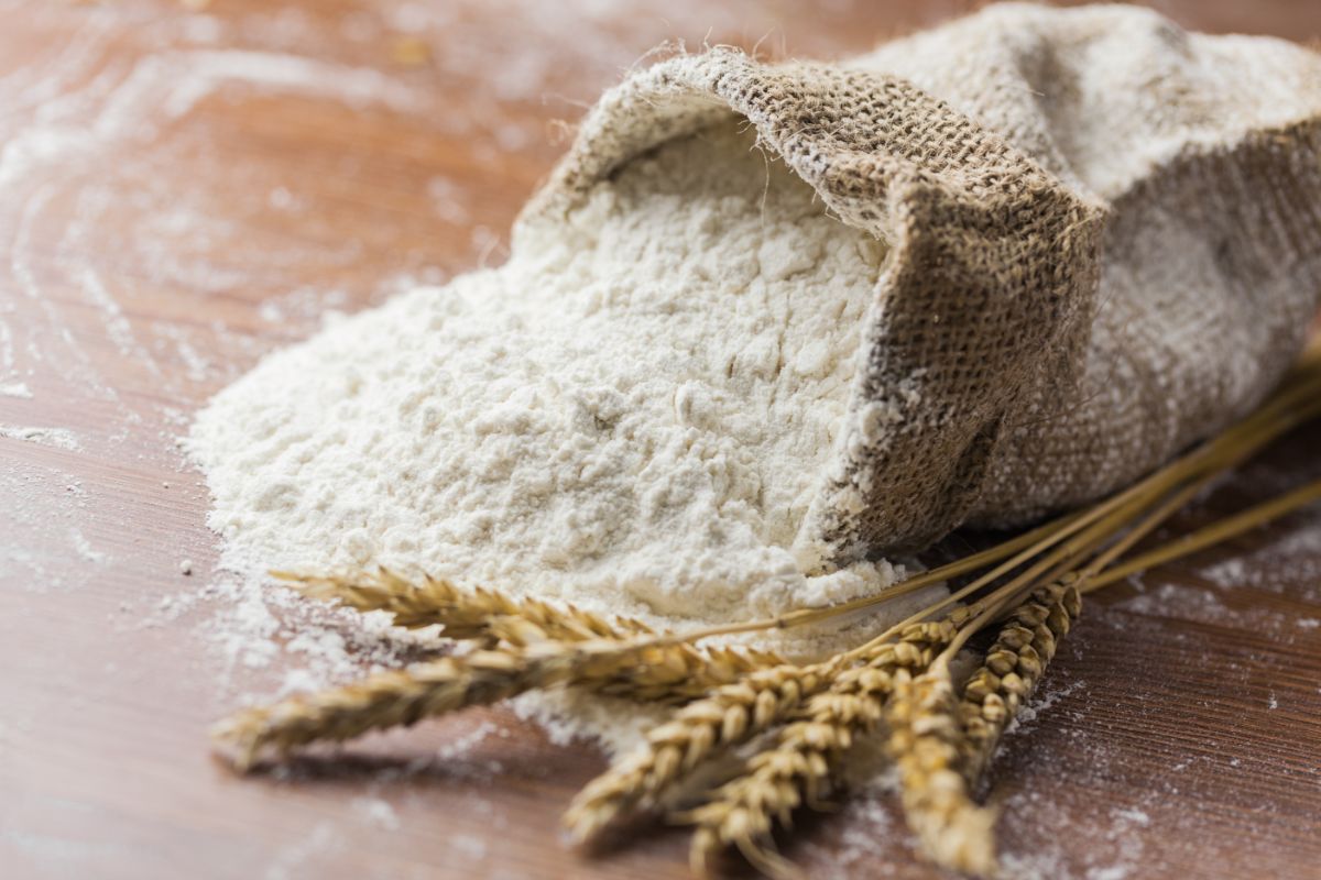 Wheat flour in bag spilled on table with  stalks of wheat