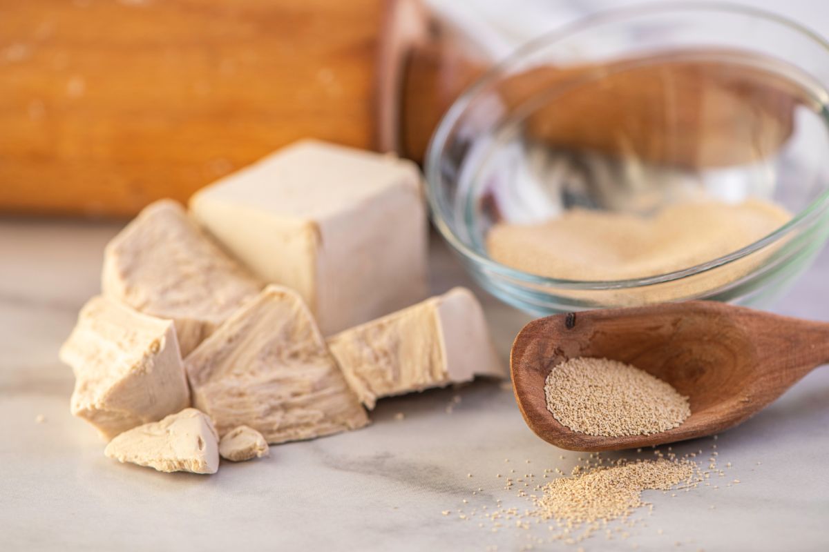 Dry yeast in glass bowl and on wooden spoon next to block yeast on table