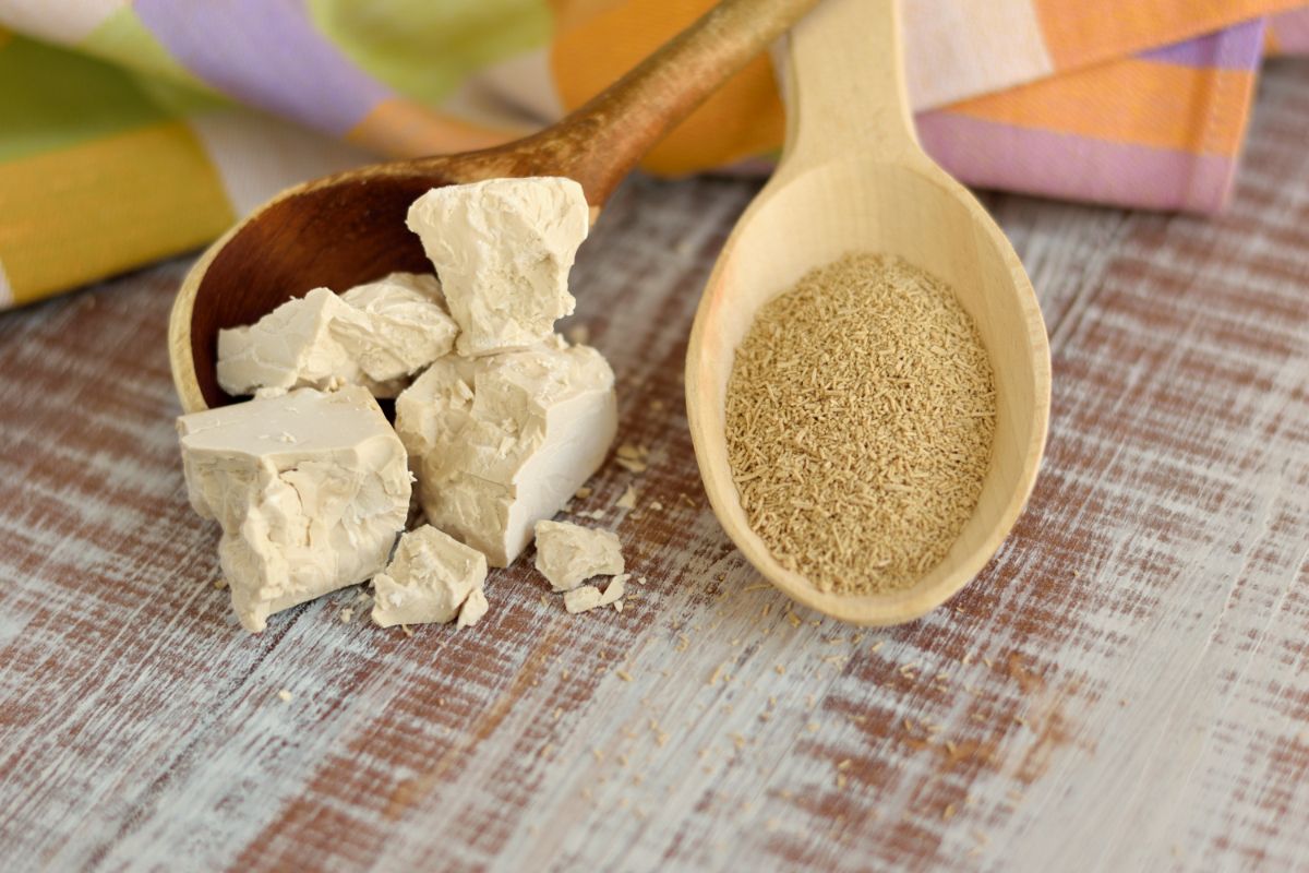 Block and dry yeast on wooden spoons